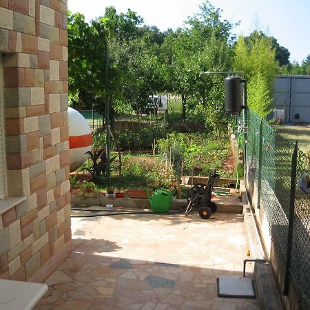Apartments Sandra Novigrad Istria 외부 사진